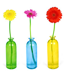 Image showing Colorful flowers