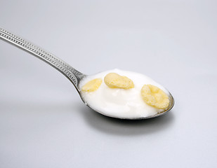 Image showing Yogurt and cereals