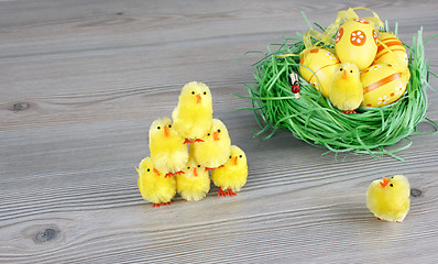 Image showing Little chicken and easter eggs 