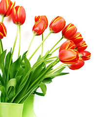 Image showing Fresh tulips in boots