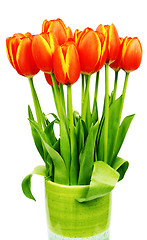 Image showing Fresh tulips 