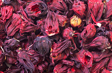 Image showing Dried Hibiscus Flowers