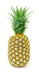 Image showing Ripe Pineapple Fruit