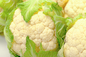 Image showing Heads of Cabbage Cauliflower