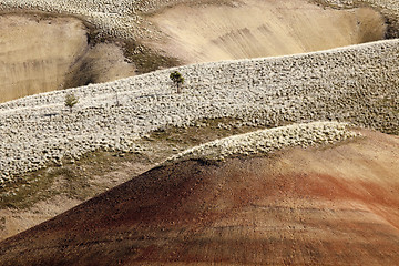 Image showing Detail, Painted Hills Unit, John Day National Monument