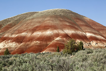 Image showing Detail, Painted Hills Unit, John Day National Monument