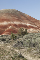 Image showing Detail, Painted Hills Unit, John Day National Monument