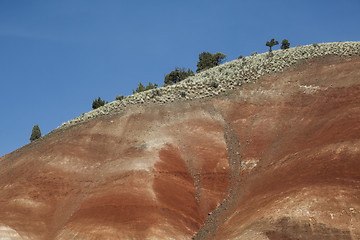 Image showing Detail, Painted Hills Unit, John Day National Monument