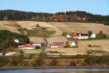 Image showing Farms in Trøndelag, Norway