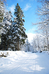 Image showing Snowy dirt road