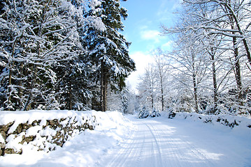 Image showing Road in winter landscape
