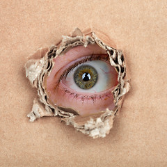 Image showing Spy eye in hole
