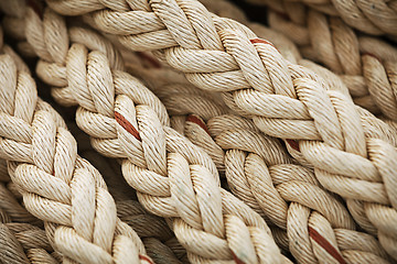 Image showing Big marine sea ropes background