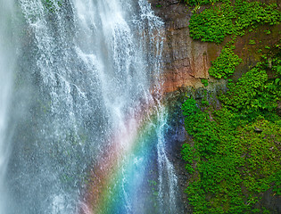 Image showing Waterfall with rainbow and green plants