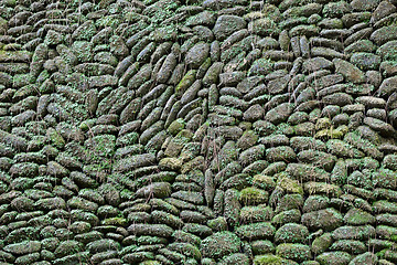 Image showing Old stone wall with moss and plants background