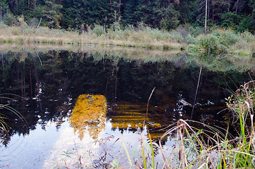 Image showing underwater wooden rot broken bridge forest lake 