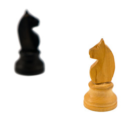 Image showing white chess knight figure blurr black horse white 