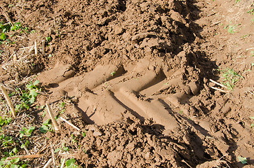 Image showing tractor mark trail soil agricultural plow field 