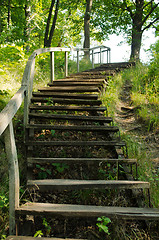 Image showing old wooden stairs in the park 