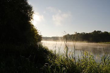 Image showing morning misty fog rise flow river water 