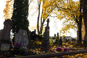 Image showing graveyard grave cross stonehead autumn tree leaves 