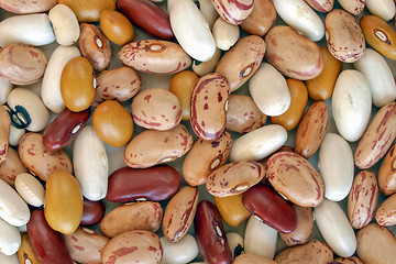 Image showing Beans salad