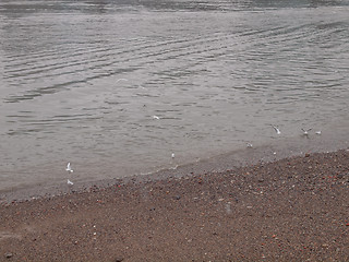 Image showing River Thames