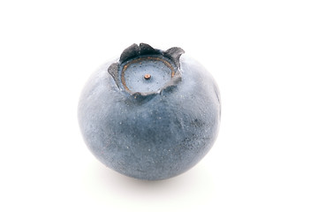 Image showing Solitary Blueberry