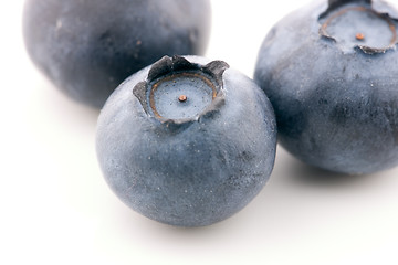 Image showing Blueberries