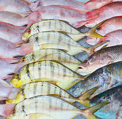 Image showing fresh fish