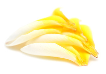 Image showing plumeria