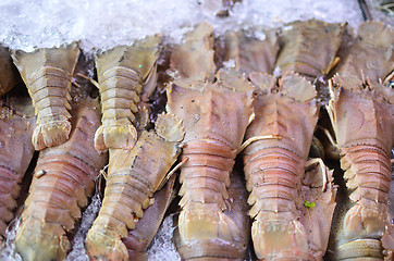 Image showing seafood