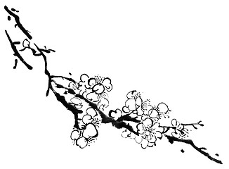 Image showing plum blossom