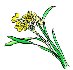Image showing chrysanthemum