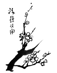 Image showing plum blossom