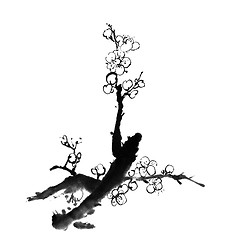 Image showing plum blossom