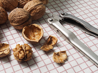 Image showing Walnuts