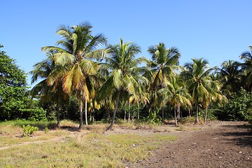 Image showing Cuba