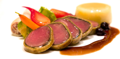 Image showing Oven Roasted Elk Tenderloin