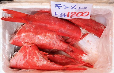 Image showing Tokyo seafood market