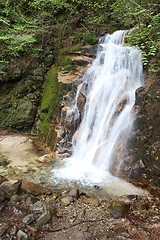 Image showing Nature in Japan