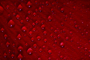 Image showing red texture 