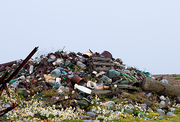 Image showing camomiles and dump