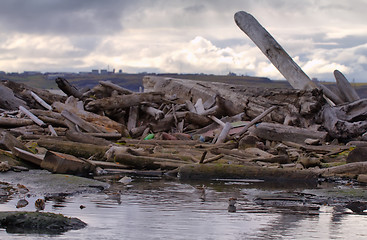 Image showing ocean coast dump