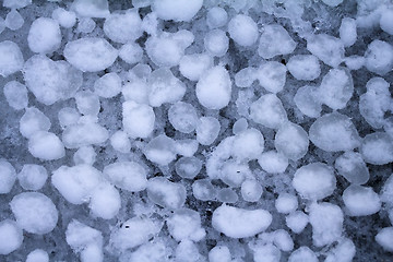 Image showing sea ice