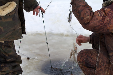 Image showing winter  marine net