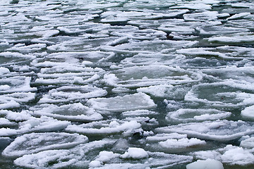 Image showing sea ice