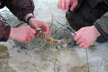 Image showing winter  marine net