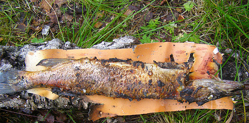 Image showing Fried  pike