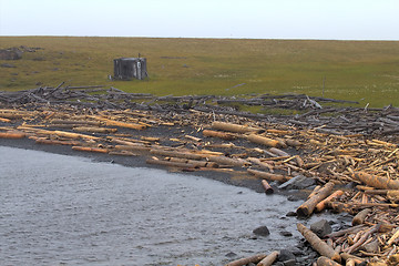 Image showing the ruined wood on ocean coasts